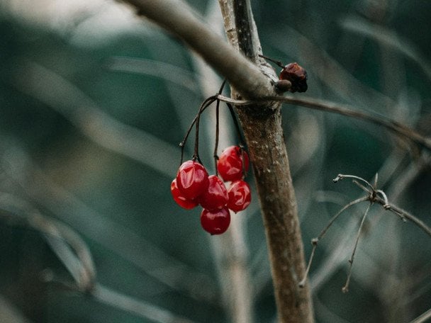 Народні прикмети 3 лютого / © pexels.com