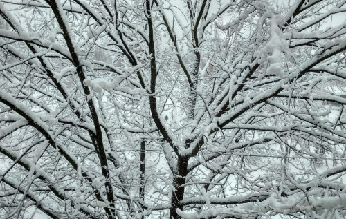 З 9-го лютого нова хвиля холоду знову завітає в Україну, – Наталка Діденко З 9-го лютого нова хвиля холоду знову завітає в Україну, – Наталка Діденко