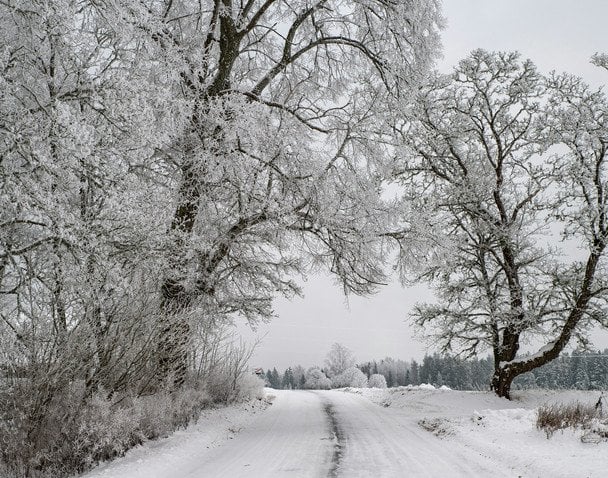 Народні прикмети 5 лютого / © pexels.com