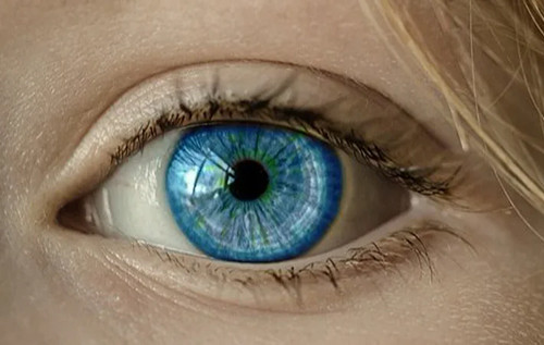 Бактерії в очах можуть провокувати деменцію, — дослідження Бактерії в очах можуть провокувати деменцію, — дослідження