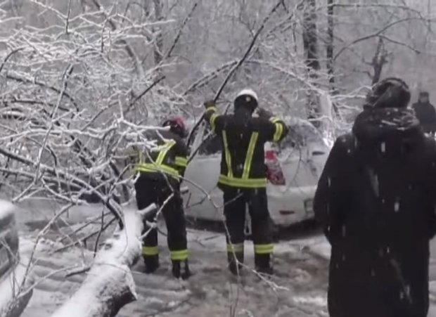 Снегопад в Киеве. Фото: скрин 5 канал