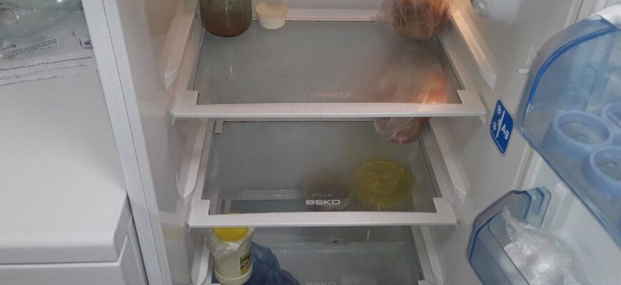 1 раз на рік роблю це з холодильником — і він не “намотує” зайві кіловати навіть у спеку: енергоефективність 1 раз на рік роблю це з холодильником — і він не “намотує” зайві кіловати навіть у спеку: енергоефективність