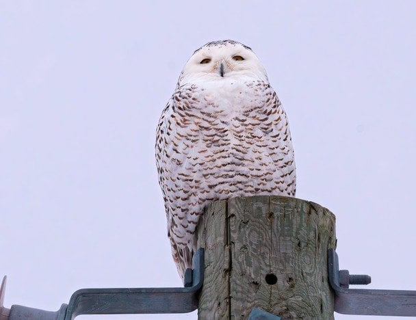 Народні прикмети 22 лютого / © pexels.com