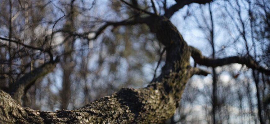 Зима здається: синоптики розповіли, яким буде останній тиждень лютого Зима здається: синоптики розповіли, яким буде останній тиждень лютого