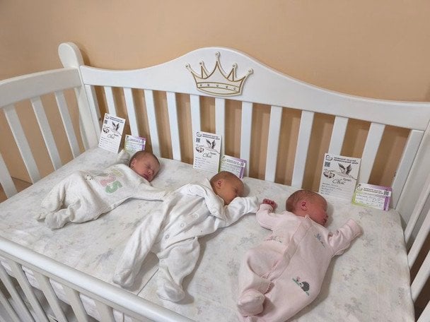 / © Суспільне