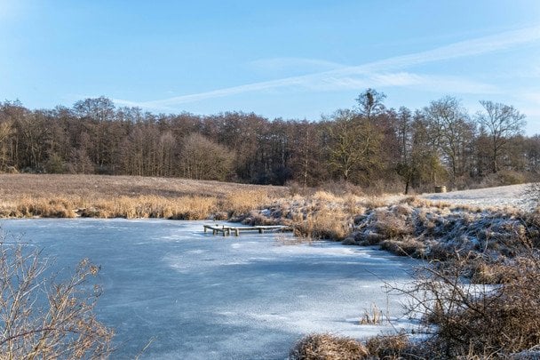 Народні прикмети 20 лютого / © unsplash.com