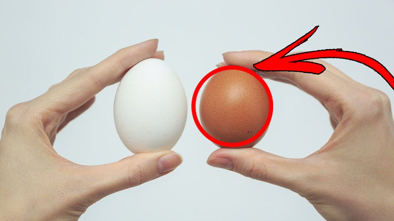 Фермери пояснили, чому курячі яйця категорії С1 часто свіжіші за С0