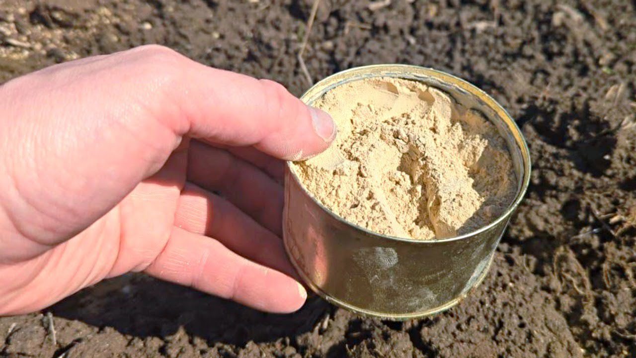 Городники розповіли, які крупи краще, ніж гній, підходять для удобрення грядок