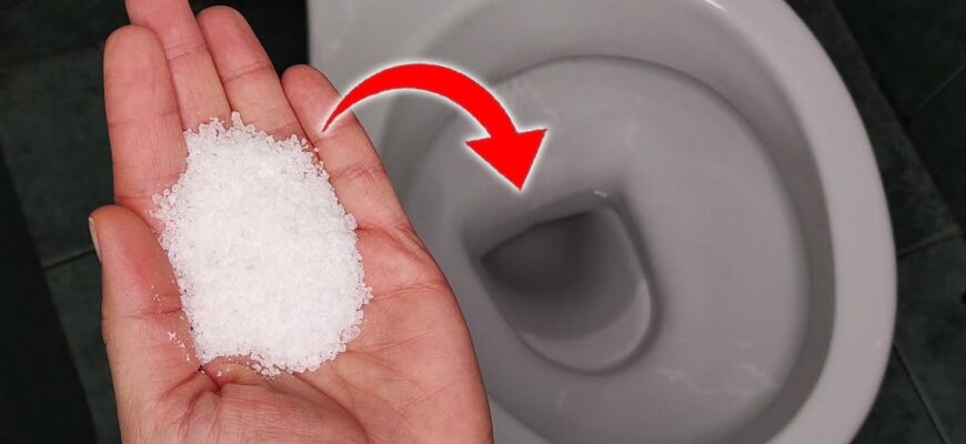 Завжди “підсолюю” воду в унітазі: про цей хитрий трюк дізнались сусіди і тепер не втомлюються дякувати Завжди “підсолюю” воду в унітазі: про цей хитрий трюк дізнались сусіди і тепер не втомлюються дякувати