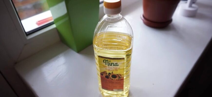 3 господинь запитали, для чого потрібні прорізи в шийці пляшки з рослинною олією – відповідь усіх здивувала 3 господинь запитали, для чого потрібні прорізи в шийці пляшки з рослинною олією – відповідь усіх здивувала