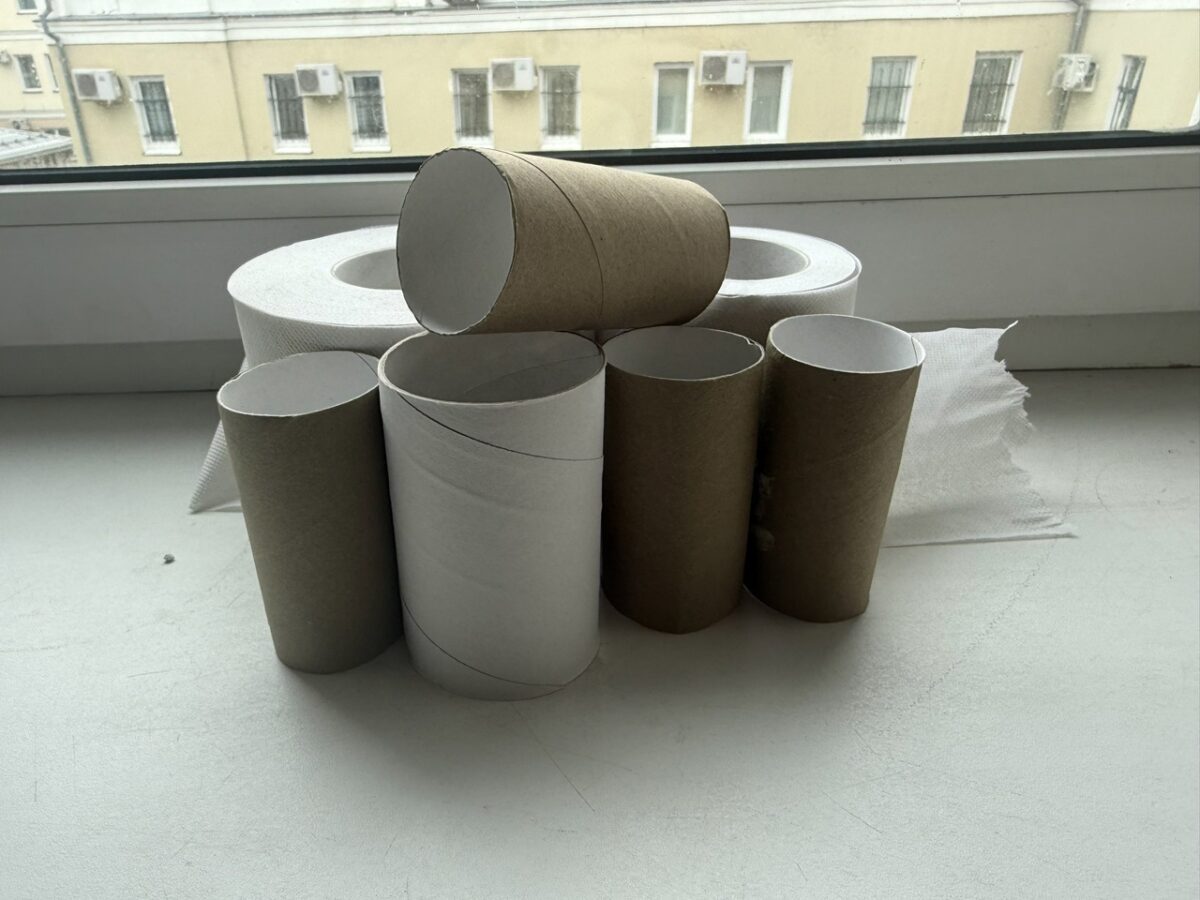 Садівники розповіли, як використовувати втулки від туалетного паперу на садовій ділянці