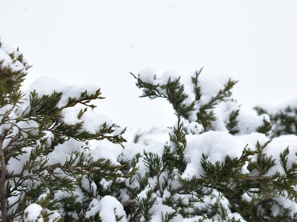 Народні прикмети 7 лютого / © unsplash.com