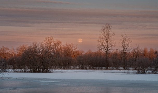 Народні прикмети 8 лютого / © pexels.com