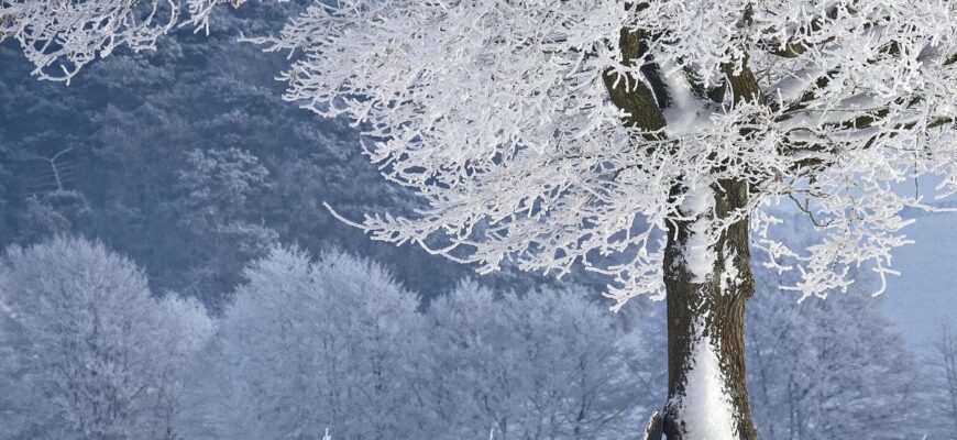 Аномальні морози в Україні: коли очікувати потепління та чи буде нова хвиля холоду Аномальні морози в Україні: коли очікувати потепління та чи буде нова хвиля холоду