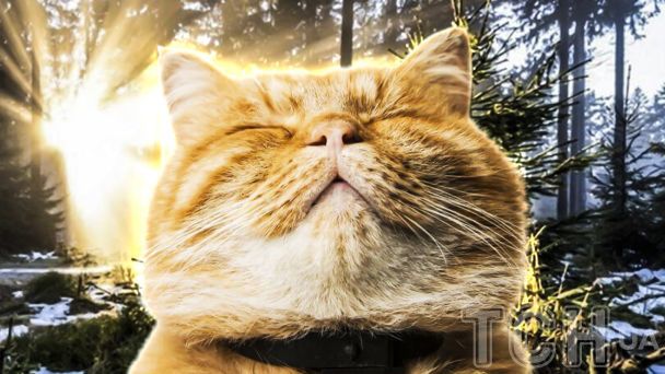 Різкого потепління українцям очікувати не слід