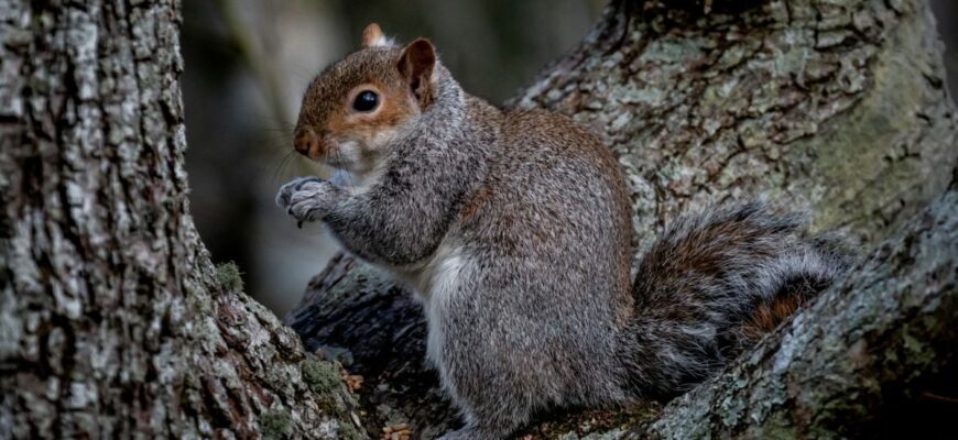 Антициклон не відступає: яка погода чекає на українців у перші дні березня Антициклон не відступає: яка погода чекає на українців у перші дні березня