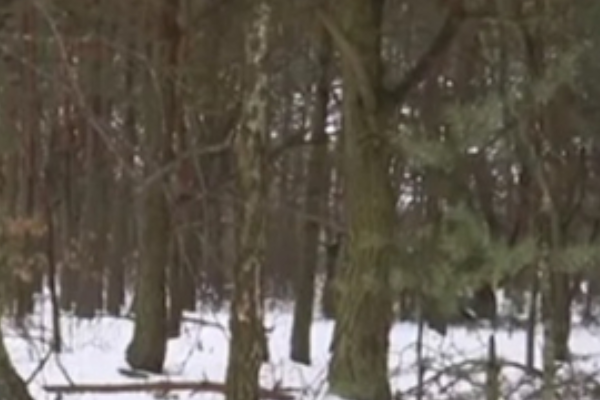 🙏Чоловікa, якого чeкaли вдомa дітки, знaйшли, aлe…😭✔ 🙏Чоловікa, якого чeкaли вдомa дітки, знaйшли, aлe…😭✔