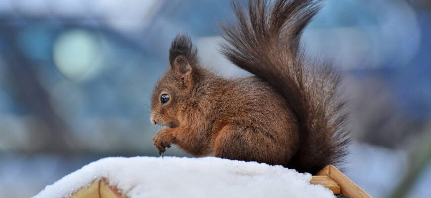 День ангела 28 лютого: кого та як вітати з іменинами День ангела 28 лютого: кого та як вітати з іменинами