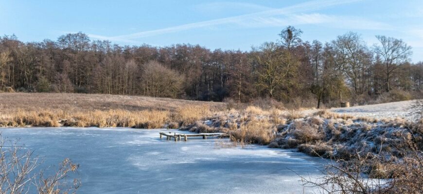 До України суне негода: де вдарять морози та засипле снігом До України суне негода: де вдарять морози та засипле снігом