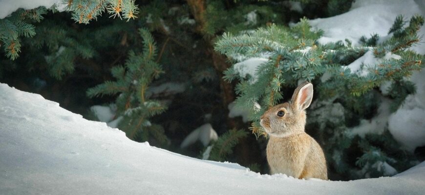 До України йде поступове потепління: як довго воно триватиме До України йде поступове потепління: як довго воно триватиме