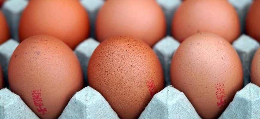 Невтішні новини для “забувак”: скільки можна зберігати яйця в холодильнику – 100% ви цього не знали Невтішні новини для “забувак”: скільки можна зберігати яйця в холодильнику – 100% ви цього не знали