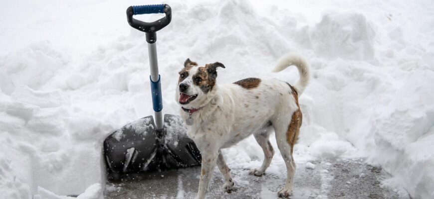 У відрі змішую сіль та ще 1 компонент: лід біля дому тане на очах, а чоловіку не треба бігати з лопатою У відрі змішую сіль та ще 1 компонент: лід біля дому тане на очах, а чоловіку не треба бігати з лопатою