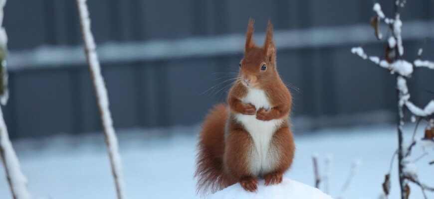 ☀️ Зима нарешті відступає! 🌡️ Холодний фронт залишає Україну: стало відомо, коли прийде справжня весна — прогноз ☀️ Зима нарешті відступає! 🌡️ Холодний фронт залишає Україну: стало відомо, коли прийде справжня весна — прогноз