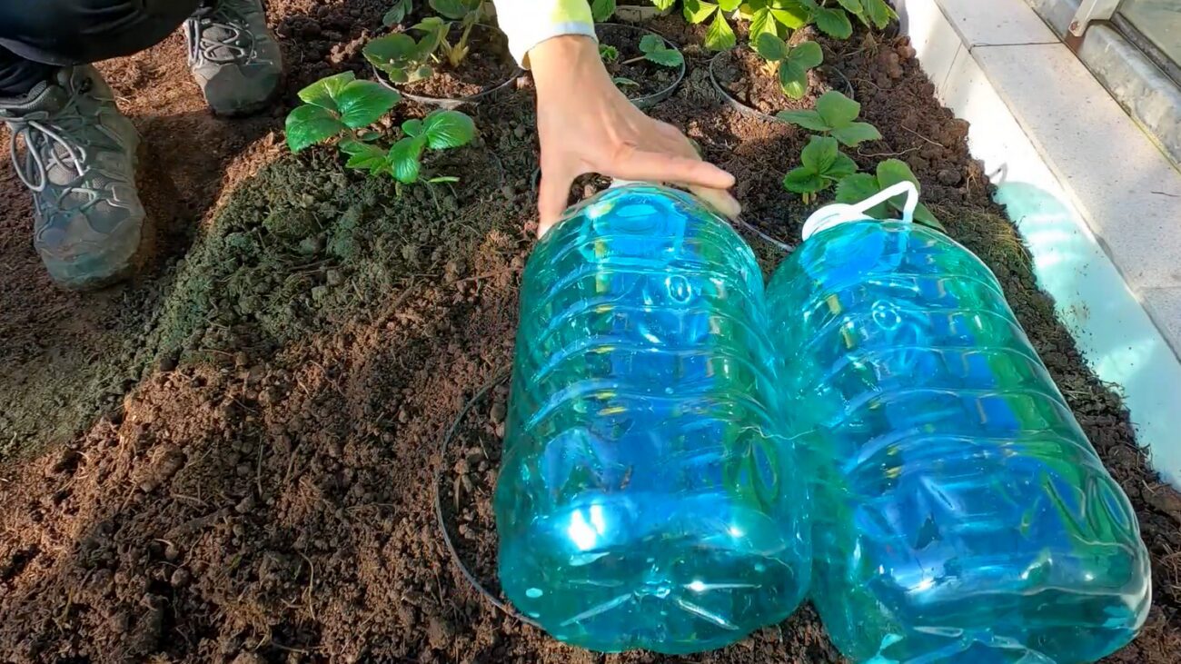 Городники розповіли, як зробити міні-теплиці на зиму зі сміття
