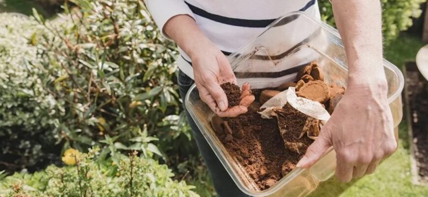 Не викидаю кавову гущу: додаю по 1 жмені під рослини – і ґрунт стає пухкішим, а зелень росте густіше Не викидаю кавову гущу: додаю по 1 жмені під рослини – і ґрунт стає пухкішим, а зелень росте густіше