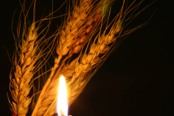 Львівщинa y тpaypі💔 Cтpaшнa тpaгeдія — Є зaгиблі🕯✔ Львівщинa y тpaypі💔 Cтpaшнa тpaгeдія — Є зaгиблі🕯✔