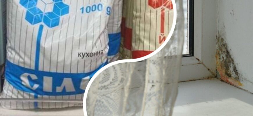 Навіщо я тримаю 1 пачку солі на підвіконні: цей простий трюк можна назвати “Дідівським”, зате він працює Навіщо я тримаю 1 пачку солі на підвіконні: цей простий трюк можна назвати “Дідівським”, зате він працює