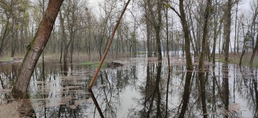 На захід суне велика вода, а у центрі оголосили небезпеку: Україну накриє аномальний удар стихії (мапа) На захід суне велика вода, а у центрі оголосили небезпеку: Україну накриє аномальний удар стихії (мапа)