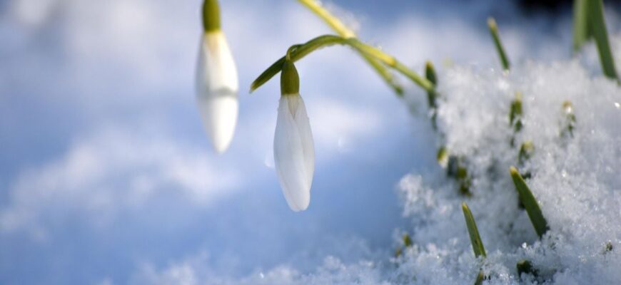 Останні морози перед потеплінням: прогноз погоди на 20 лютого Останні морози перед потеплінням: прогноз погоди на 20 лютого