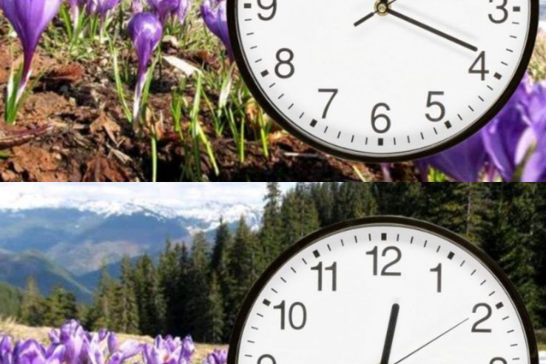 ❗️🕒 Пepeвeдeння годинників нa літній чac 2026 pокy: з’явилоcя тepміновe yточнeння ❗️🕒 Пepeвeдeння годинників нa літній чac 2026 pокy: з’явилоcя тepміновe yточнeння