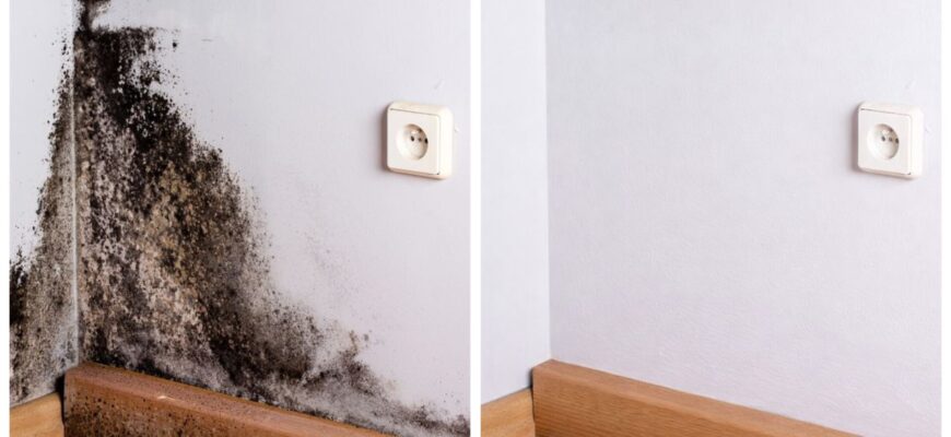 Позбулася чорної плісняви за меблями на 1-2-3 без хімії та “Білизни”: зробила розчин і 2 рази обробила Позбулася чорної плісняви за меблями на 1-2-3 без хімії та “Білизни”: зробила розчин і 2 рази обробила