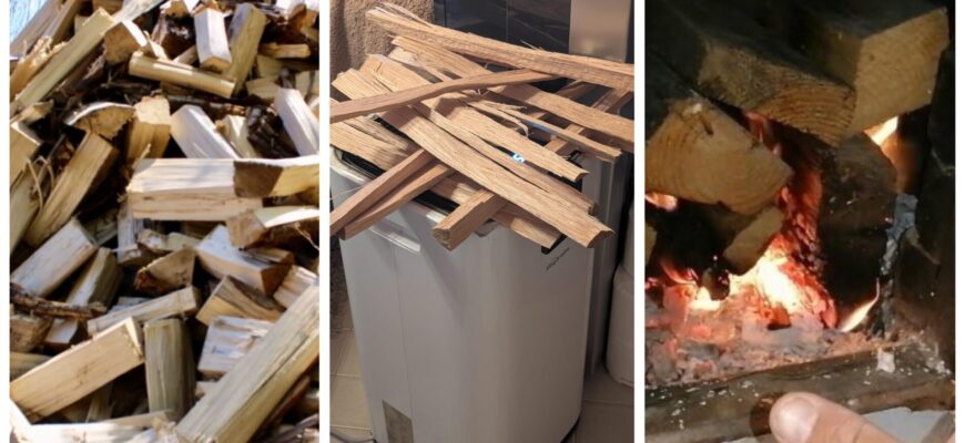 Побачила, як у селі кум сушить дрова 1 нестандартним способом – тепер горять довше й дають більше тепла Побачила, як у селі кум сушить дрова 1 нестандартним способом – тепер горять довше й дають більше тепла