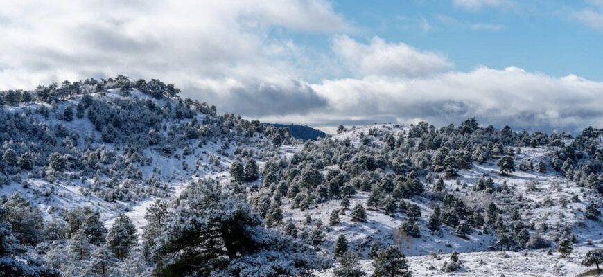 Погода готує нове випробування українцям: скільки ще триватимуть люті морози Погода готує нове випробування українцям: скільки ще триватимуть люті морози