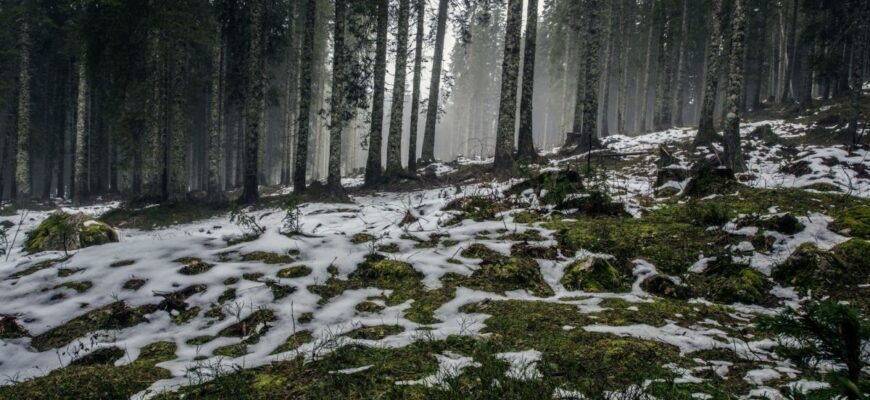 Погода в Україні: синоптик назвав дату значного потепління Погода в Україні: синоптик назвав дату значного потепління