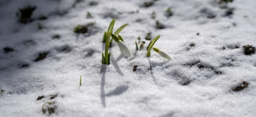 Погоду в Україні формуватиме антициклон: синоптикиня дала прогноз на першу декаду березня Погоду в Україні формуватиме антициклон: синоптикиня дала прогноз на першу декаду березня
