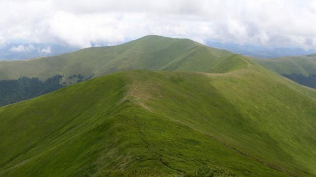“Помилочка трапилась!”: Після скандального розголосу АРМА скасувало торги, за якими продало сотні гектарів в Карпатах екс-регіоналу Льовочкіну “Помилочка трапилась!”: Після скандального розголосу АРМА скасувало торги, за якими продало сотні гектарів в Карпатах екс-регіоналу Льовочкіну