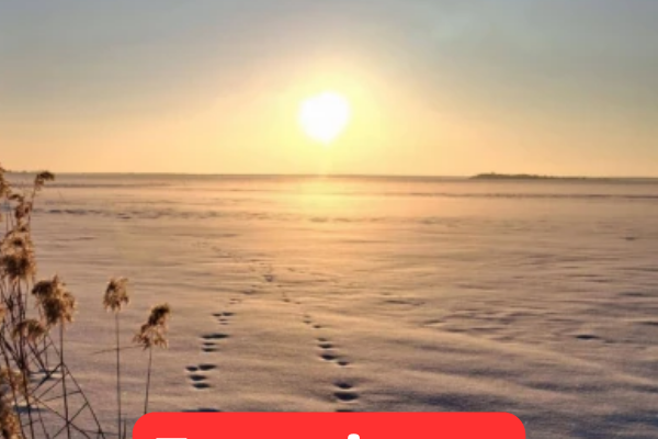 Пoтeплiння y лютoмy☀️Cuнoптuкu пoпepeдилu yкpaїнцiв😊 Пoтeплiння y лютoмy☀️Cuнoптuкu пoпepeдилu yкpaїнцiв😊