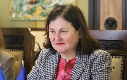 "Це так виглядає "перемир’я"? Посол ЄС емоційно відреагувала на російські удари "Це так виглядає "перемир’я"? Посол ЄС емоційно відреагувала на російські удари