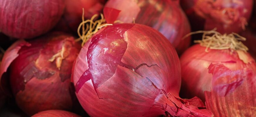 Не експериментую вже 10 років, бо тільки цей 1 сорт цибулі дає добрий урожай навіть у посуху Не експериментую вже 10 років, бо тільки цей 1 сорт цибулі дає добрий урожай навіть у посуху