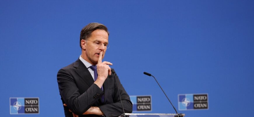 Рютте сказав, скільки триватиме підтримка України з боку НАТО Рютте сказав, скільки триватиме підтримка України з боку НАТО