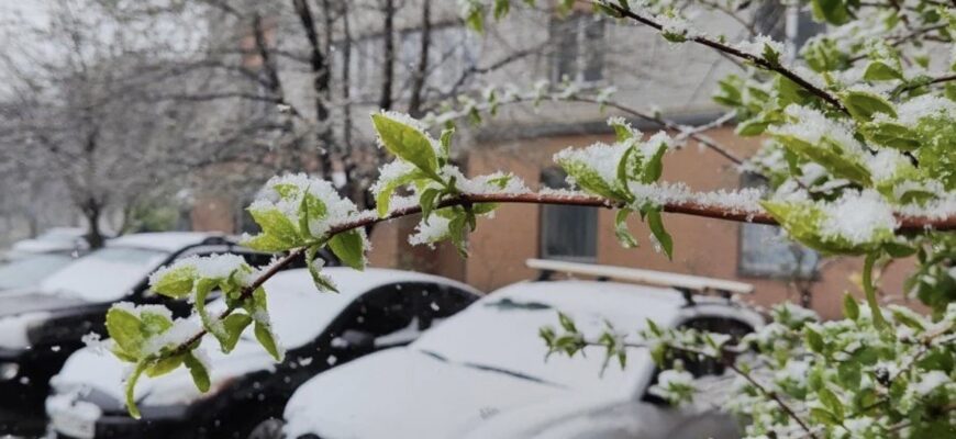 НАРЕШТІ ТЕПЛО: В Україну стрімко уривається справжня весна! Температура злетить до +13 градусів НАРЕШТІ ТЕПЛО: В Україну стрімко уривається справжня весна! Температура злетить до +13 градусів