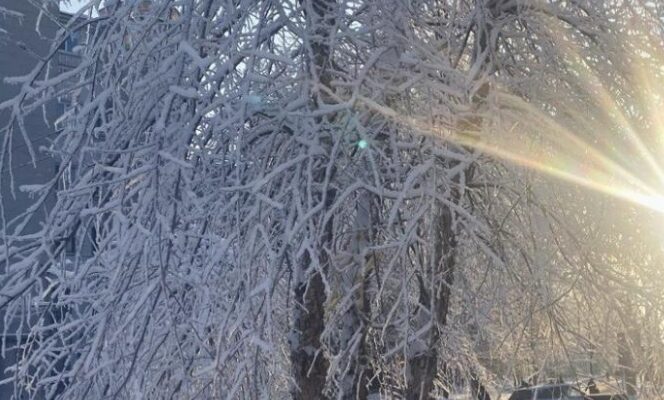 Коли тріскучі морози в Україні підуть на спад: синоптикиня назвала точну дату Коли тріскучі морози в Україні підуть на спад: синоптикиня назвала точну дату