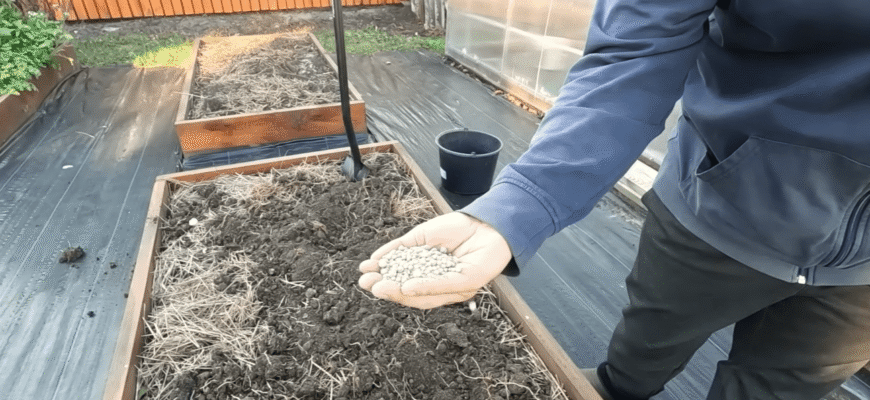 Розкидайте це ранньою весною 2026 на городі – всі культури завалять щедрим урожаєм Розкидайте це ранньою весною 2026 на городі – всі культури завалять щедрим урожаєм