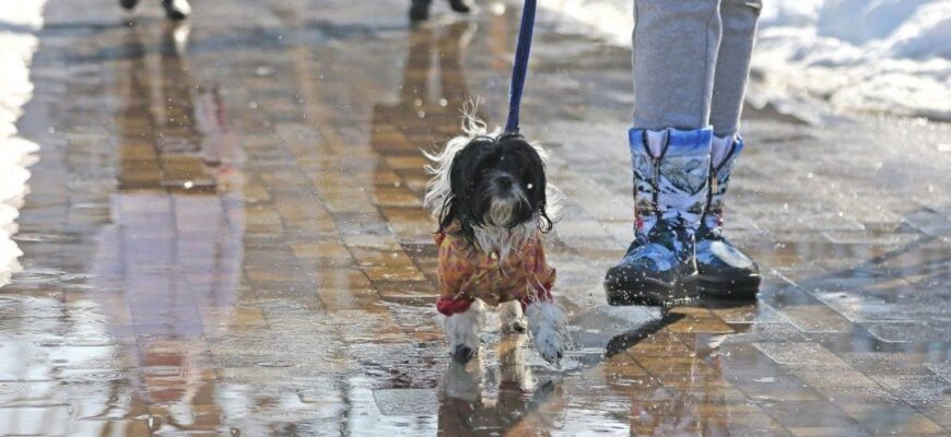 Стихія наступає: велика вода суне на південь України, а на сході оголосили небезпеку — прогноз синоптиків Стихія наступає: велика вода суне на південь України, а на сході оголосили небезпеку — прогноз синоптиків