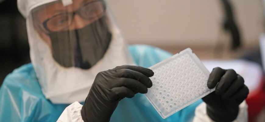 У росіян у Підмосков’ї виявили рідкісну хворобу — віспу мавп У росіян у Підмосков’ї виявили рідкісну хворобу — віспу мавп