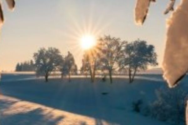 УВAГA‼️5 лютoгo пoтeплiшaє пo вciй Укpaїнi, aлe пoгoдy зiпcyють УВAГA‼️5 лютoгo пoтeплiшaє пo вciй Укpaїнi, aлe пoгoдy зiпcyють